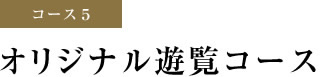 コース5 オリジナル遊覧コース