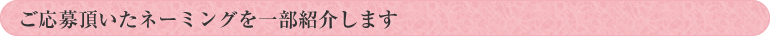 ご応募頂いたネーミングを一部紹介します